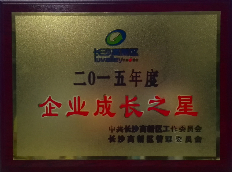 中坤電氣榮獲“企業成長之星”